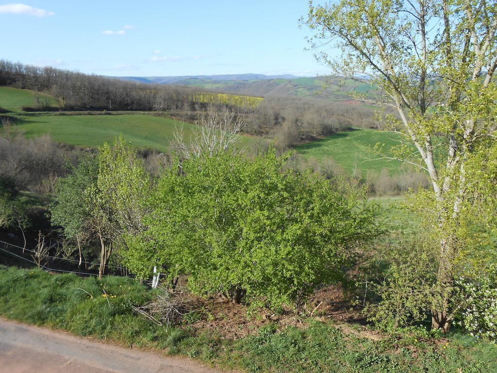 Gite Des Monts Saint-Izaire المظهر الخارجي الصورة