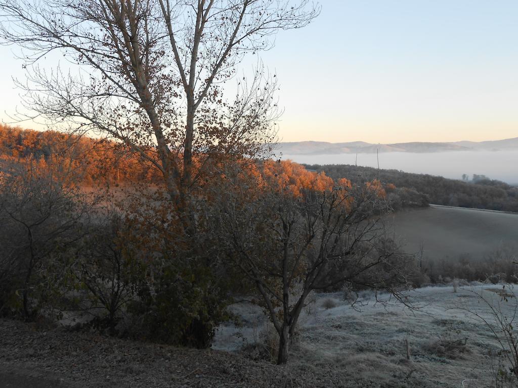 Gite Des Monts Saint-Izaire المظهر الخارجي الصورة