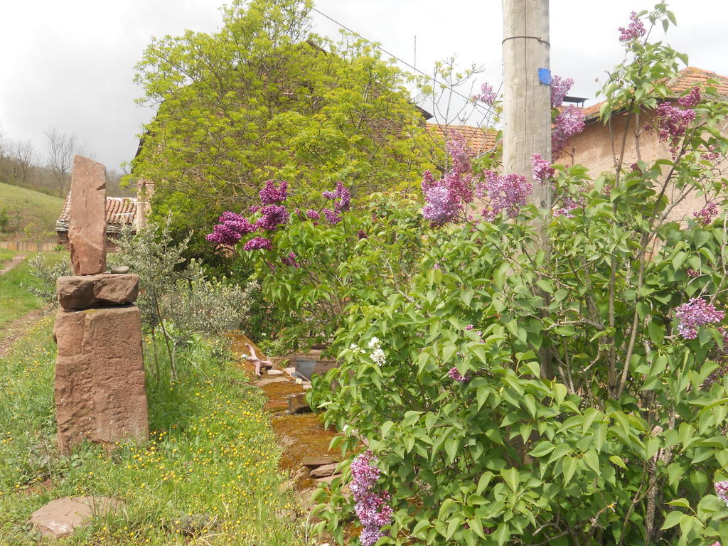 Gite Des Monts Saint-Izaire المظهر الخارجي الصورة